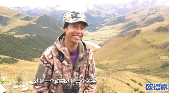 色尼玛图，真是让人感到无奈的现象，网络文化的多样性令人深思