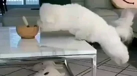 边摸边吃奶边做视频动图惊爆内幕曝光让人目瞪口呆的真实场景引发热议网友纷纷围观评论不断