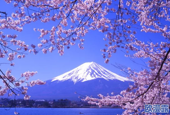 日本高清在线一区，内容丰富多样，真是让人眼前一亮，非常值得一看！