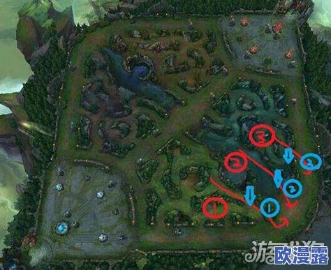 英雄联盟龙龟打野高效路线规划与团战技巧深度解析攻略