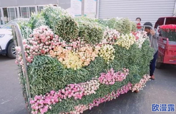 探索仙境传说RO手游：揭秘玩家为何嘴里咬着玫瑰花的独特风情